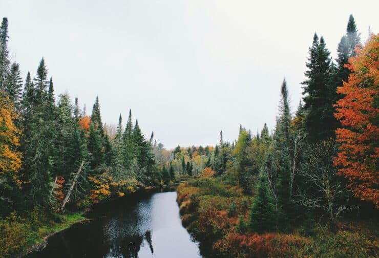 Fall trees alongside a river; cover image for blog on TD Bank's succession plan