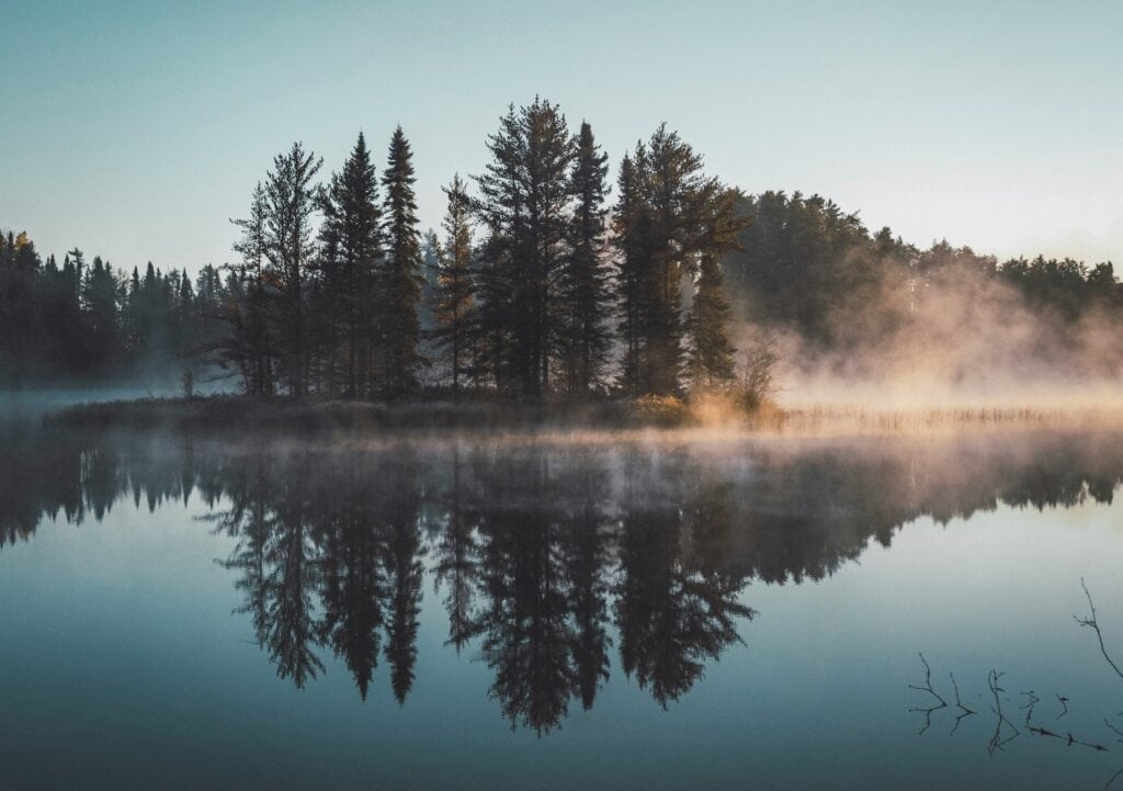 Island on a lake at sunrise; cover image for a blog on the costly consequences of not having a succession plan.