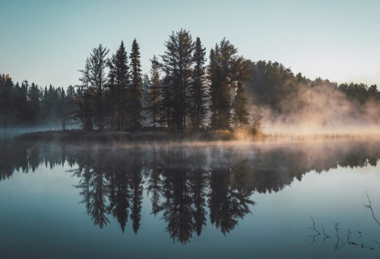 Island on a lake at sunrise; cover image for a blog on the costly consequences of not having a succession plan.