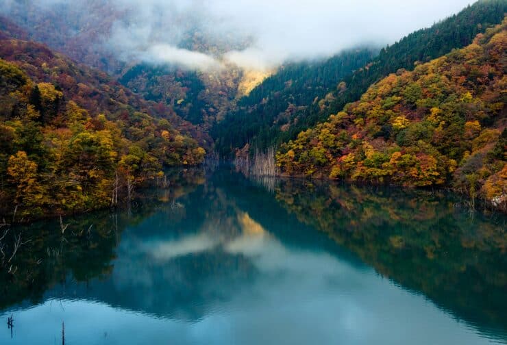 Autumn trees on hills at the edge of a lake; cover image for blog on the use of AI in talent assessments