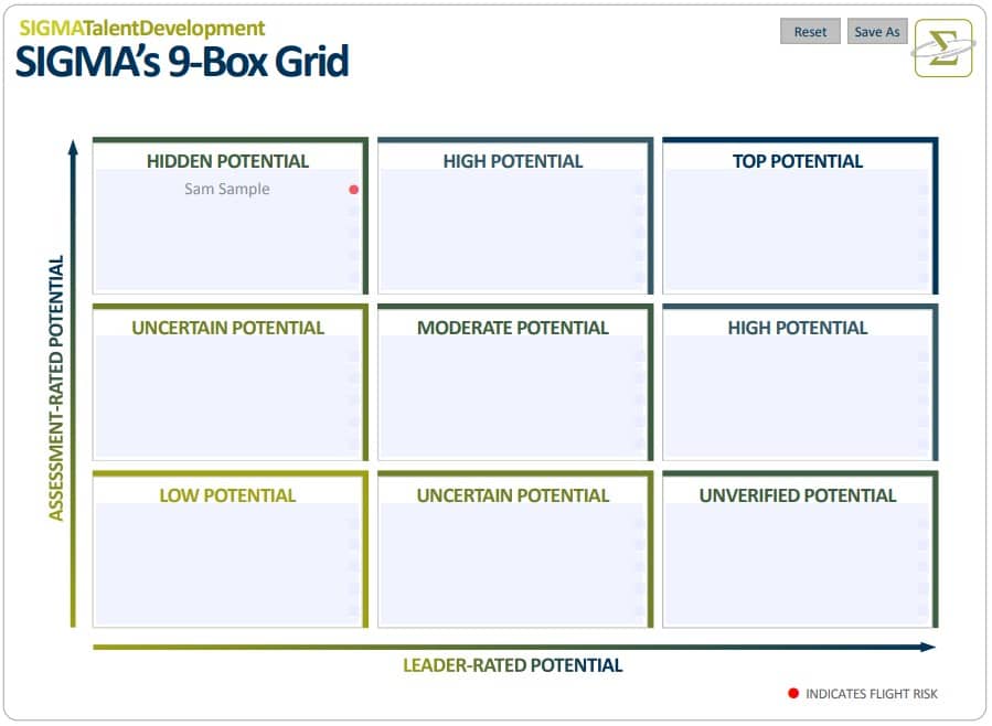 Image of SIGMA's 9-box grid