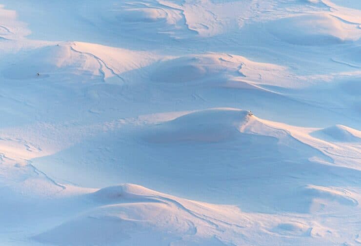 Snowy hills; cover image for blog on the top five character traits board members should have.