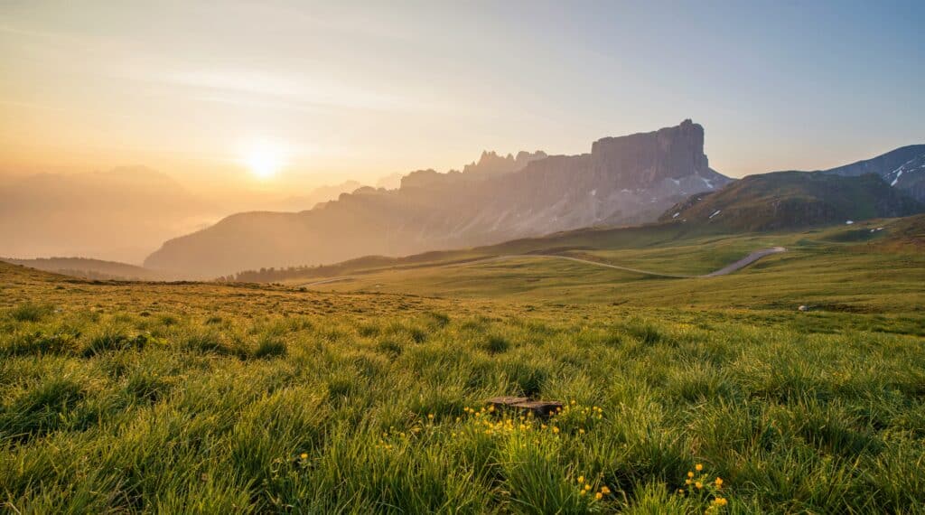 Grassy field in front of a mountain range at sunset; cover image for blog on succession planning software versus succession planning consulting.